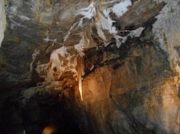 Share Centre - Visit to Marble Arch Caves