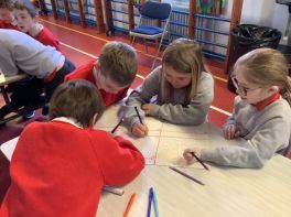 Primary 4 Shared Education 
