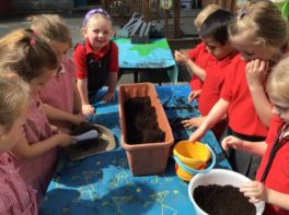 Planting our seeds into our window boxes!