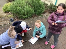 P4 Outdoor Learning
