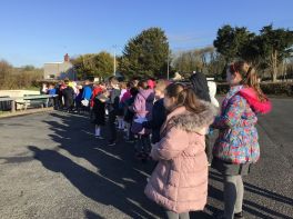 P3 & P5 Big Schools’ Bird Watch