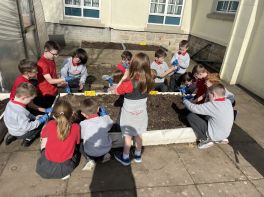P2 & P6 planting their vegetable seeds