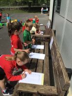 P1 outdoor literacy