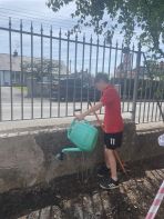 P6 planting wildflower seeds