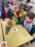 Shared Education Forest Schools- Parkanaur