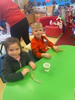 P1 make bird feeders