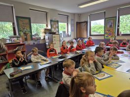 P3 Shared Education Eco Arts Programme